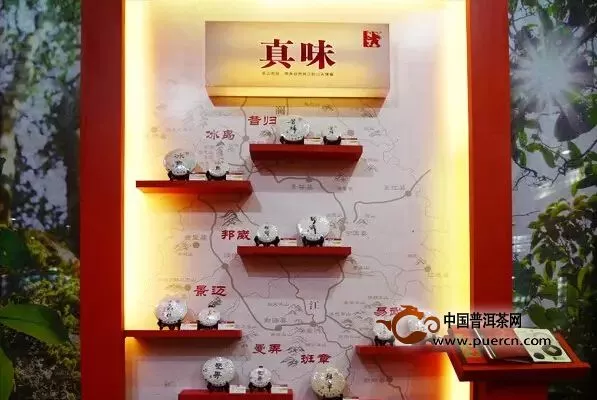 2015春季广州茶博会开幕 澜沧古茶闪亮登场