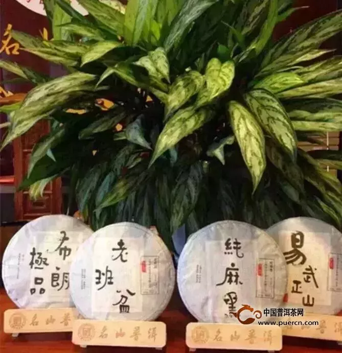 中吉号六月将参加杭州宁波茶博会