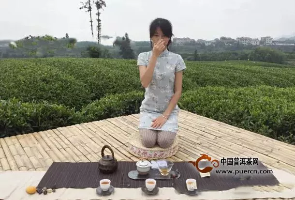 因茶而美·徐露瑶｜从吃茶到喝茶的日子