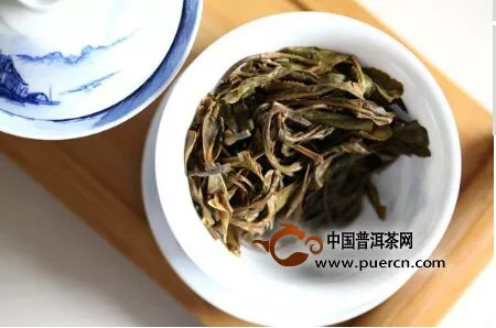 【图阅】2015年茶王树开汤