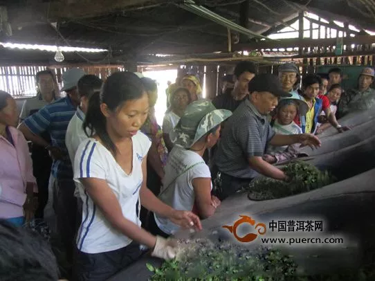 勐海县培训手工制茶技术