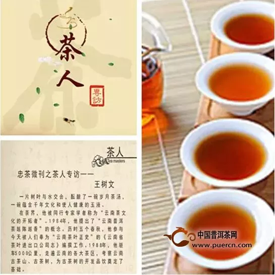 《忠茶微刊》第八期上线啦！