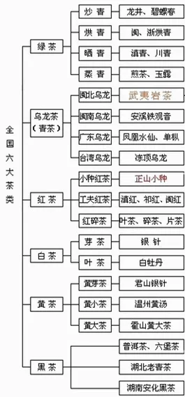 【今日話題】：假如普洱茶的是個蘿卜