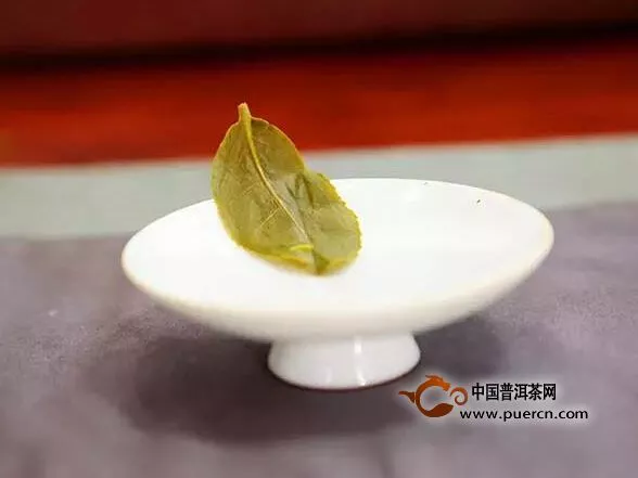 台湾高山金萱茶，夏季必备冷泡茶 