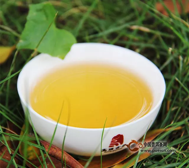 2015年高顶古茶清风蓬莱生茶上市