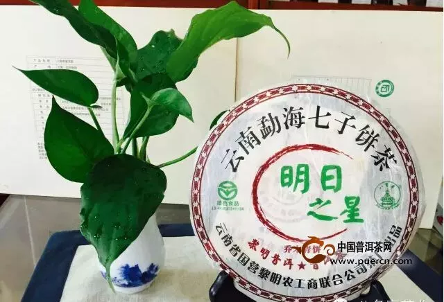 成功绝不是偶然，茶界金牌经销商的经营秘笈 