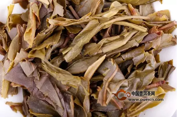 【品评】2015年岁月沉香：一款剑走蜻蛉、展示“黄片”魅力的普洱生茶