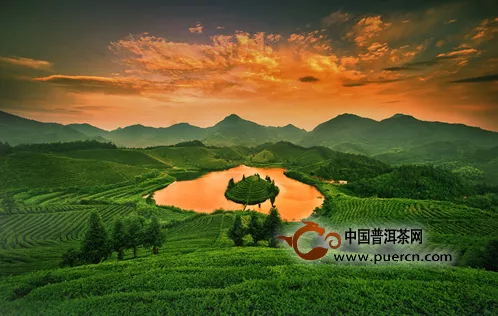 中国三十家最美茶园投票啦哪最美你来定