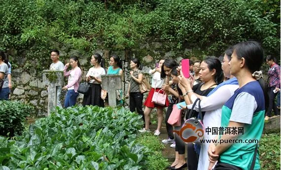 临沧银行业协会茶艺培训班学员到滇红集团参观学习