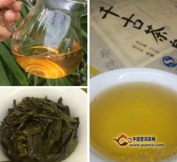 2015年茶莫停千古茶皇普洱茶生茶上市