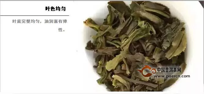 中茶普洱鄭州微茶會(huì)（第16期）—《臻品藍(lán)印》第三季藍(lán)色風(fēng)暴，席卷鄭州！