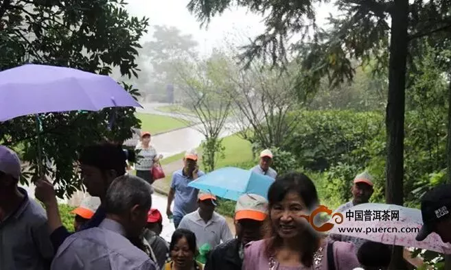 海峽兩岸鵲茶會在白茶故里太姥山成功舉辦