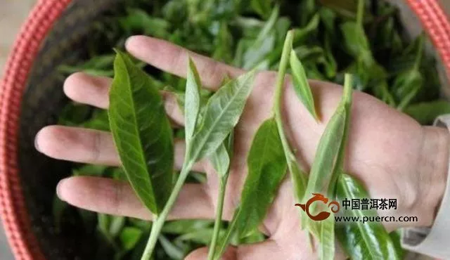 普洱茶行业九月总结：陈皮普洱能否带领市场走出低迷？