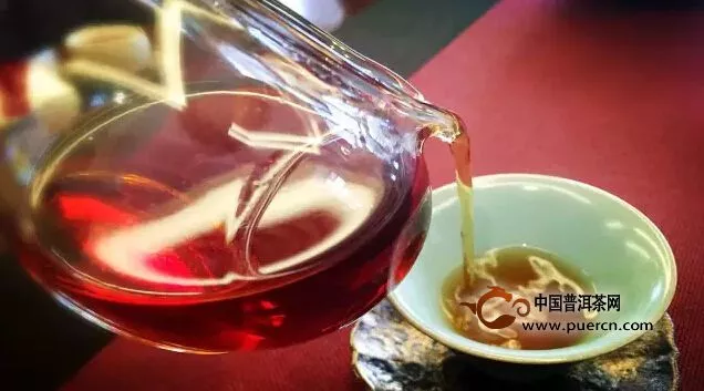 经典普洱广州老茶会所开业暨老茶茶会
