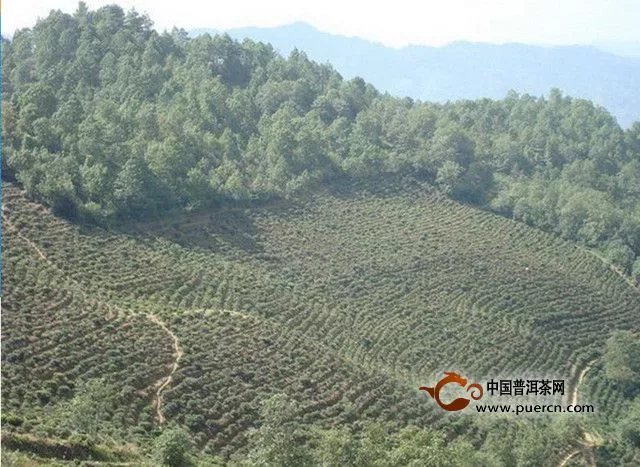 龙街乡（哀牢山西坡古茶山）村情介绍