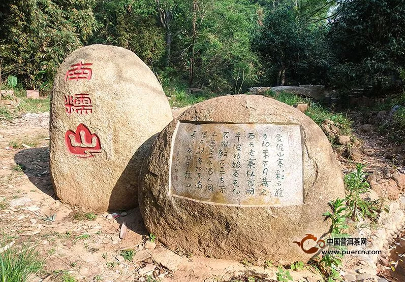 南糯山--蘇佛山山頭茶