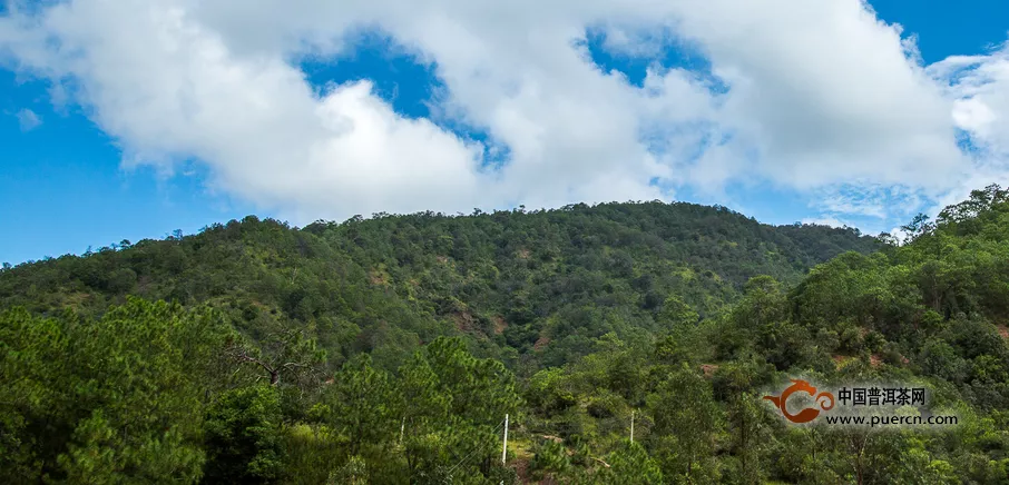 無量山中段