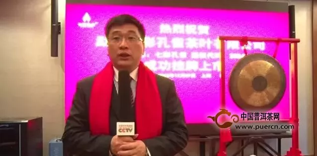 七彩孔雀董事长张泽国接受媒体采访