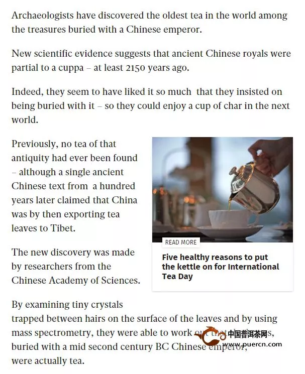 距今2150年古董茶视频图片，2016年茶叶界最重磅发现