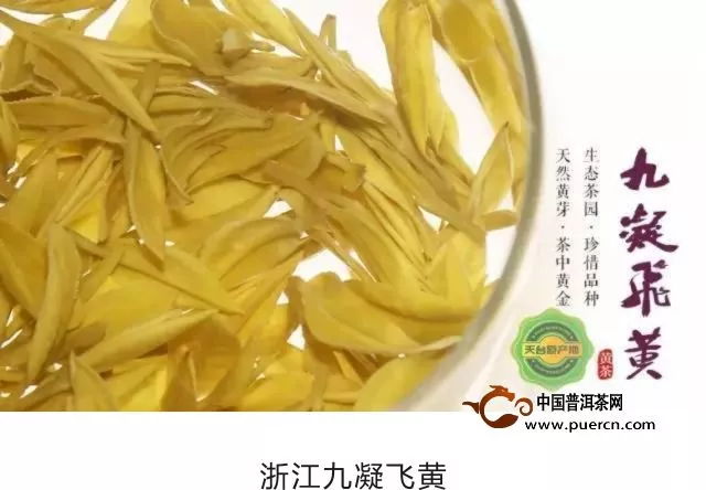 第八届中国宁波国际茶文化节亮点抢先看——茶叶篇