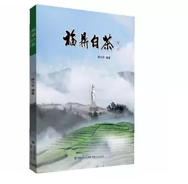 福鼎白茶的魅力