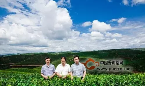 【龙园号】如何用茶文化助推茶产业发展