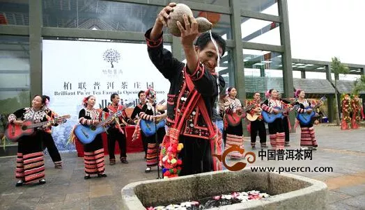 普洱茶市場風波又起，柏聯(lián)莊園茶引領(lǐng)風騷