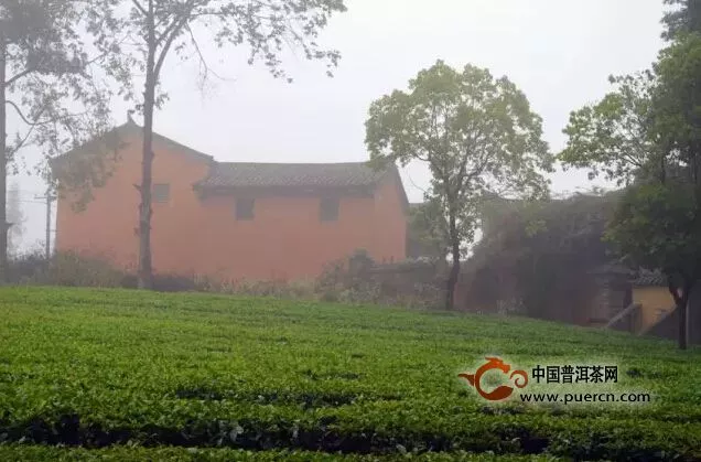 【大益】中国茶修中心第三季度招生进行时
