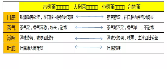 “太璞”要做一款有“溫度”的普洱茶