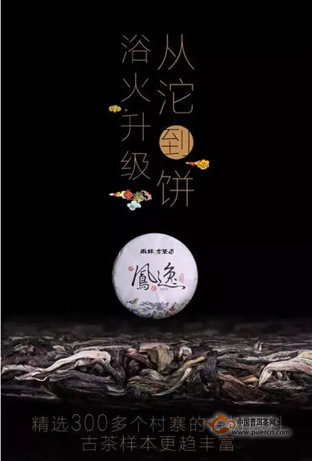 【雨林新品】2016凤逸——百鸟朝凤，盛世俊逸！