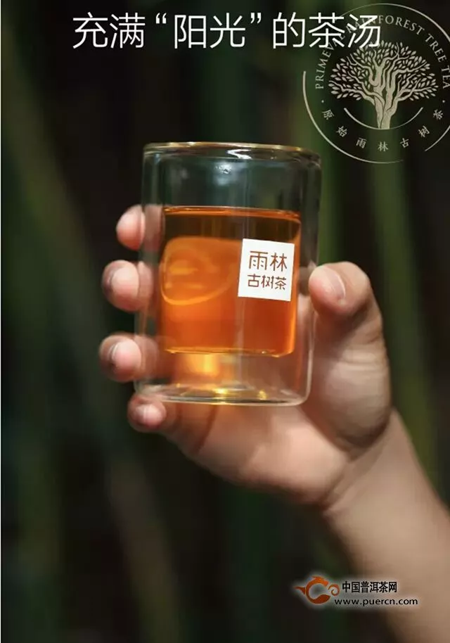 【芳潤(rùn)雨林】——充滿“陽(yáng)光”的茶湯，才有潤(rùn)到喉嚨里的甜！