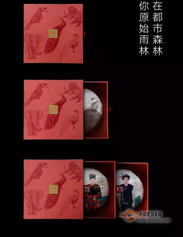 【芳潤(rùn)雨林】——充滿“陽(yáng)光”的茶湯，才有潤(rùn)到喉嚨里的甜！