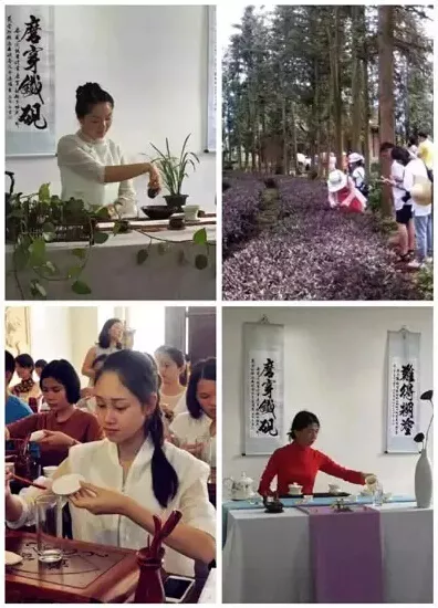 云南省农业科学院茶叶研究所2016年9月初级、中级茶艺师培训鉴定招生计划