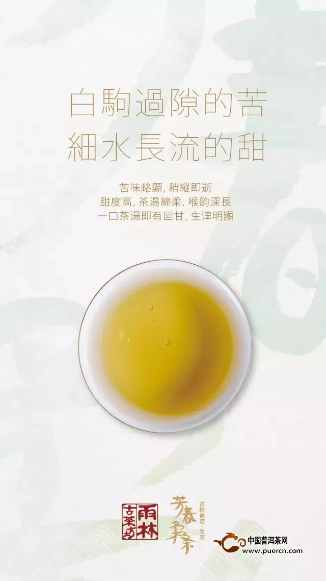 雨林古茶坊2014芳春柔條開湯品鑒