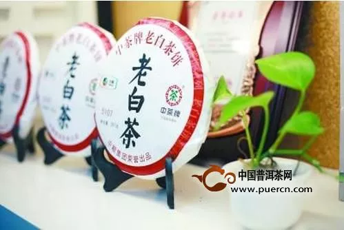 白茶成煙臺(tái)茶市收藏新寵兒