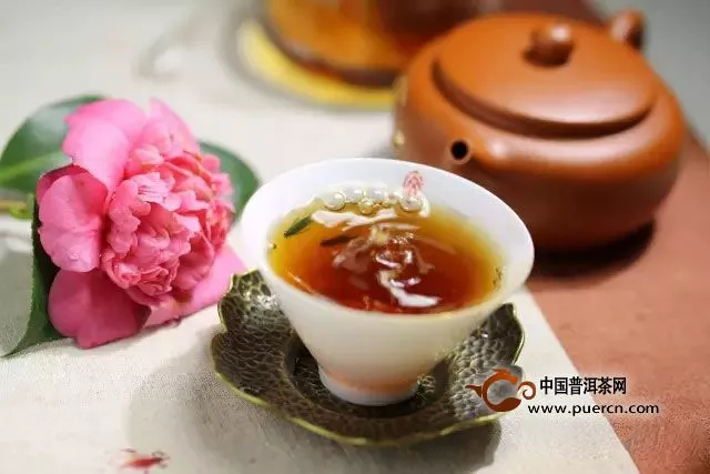 茶评定让你了解普洱茶属于什么茶系？