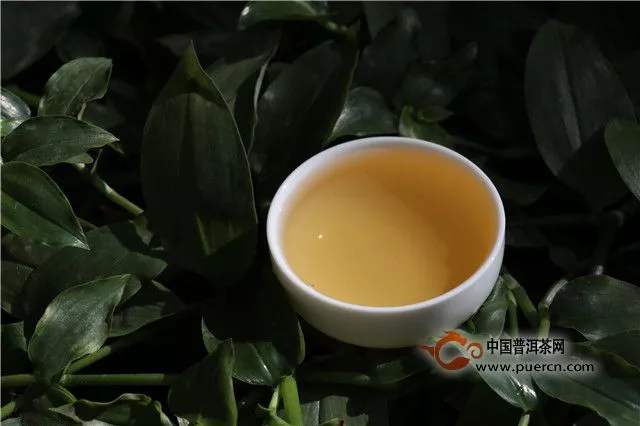 2013年最具潜力普洱茶品牌-茗纳百川普洱茶