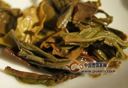 “茶葉渣”的10種神奇妙用