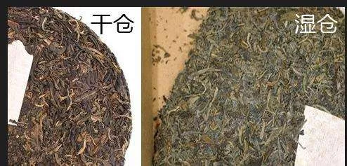 干仓普洱茶和湿仓普洱茶的区别