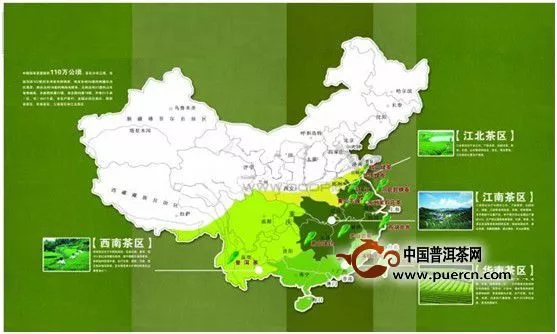 茶叶的基本知识之中国四大茶区