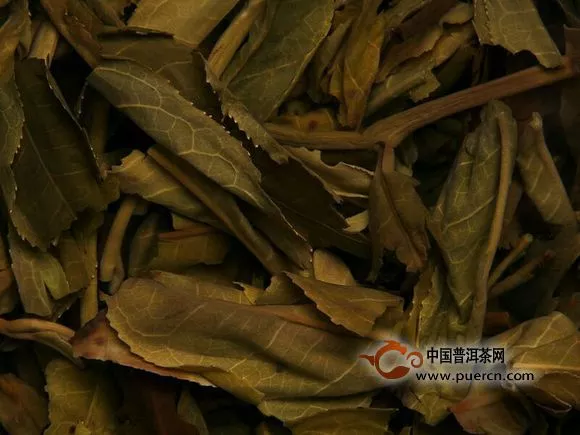 無量山老樹圓茶開湯品鑒