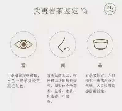 八张图，让你立马看懂武夷岩茶