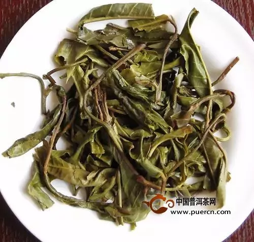 如何看茶底判斷普洱茶的好壞