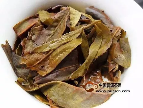 如何看茶底判斷普洱茶的好壞