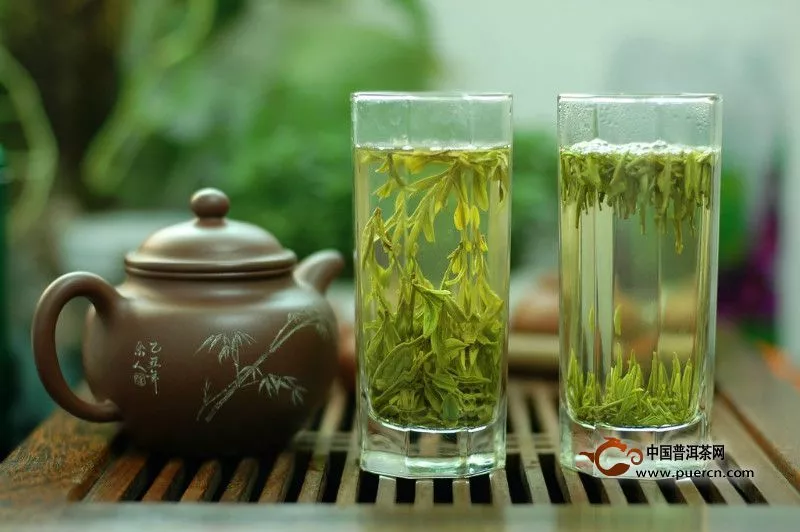 绿茶怎么喝减肥效果最好？