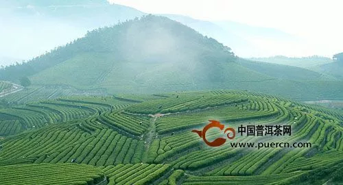 中国茶叶市场目前存在的主要问题