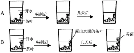 隔夜茶水發(fā)霉一定要倒掉了