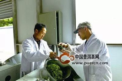 定軍茗眉的制作工藝步驟