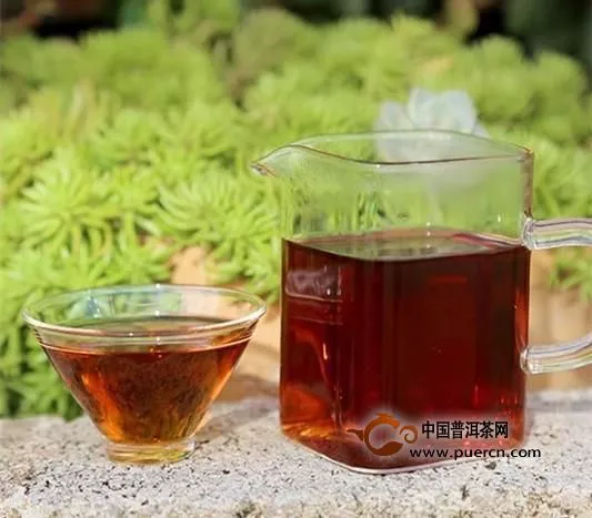 为什么凉的普洱茶味道差，喝凉茶有害吗?