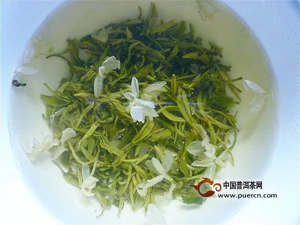 蘇州茉莉花茶怎么樣？